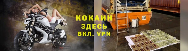 гидра Абаза