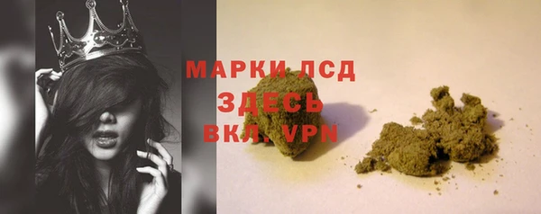 гидра Абаза