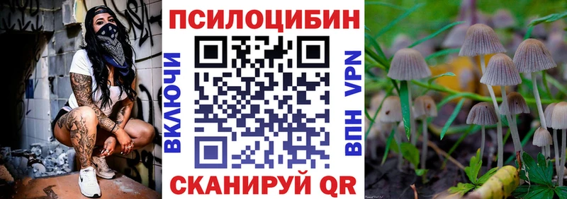 Псилоцибиновые грибы прущие грибы  MEGA ONION  Никольское  магазин продажи  